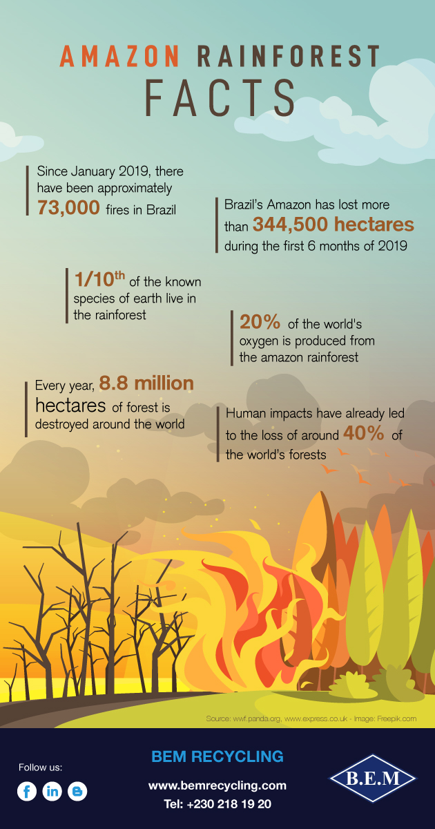 Infographic Facts & Figures about the Amazon Rainforest BEM Recycling